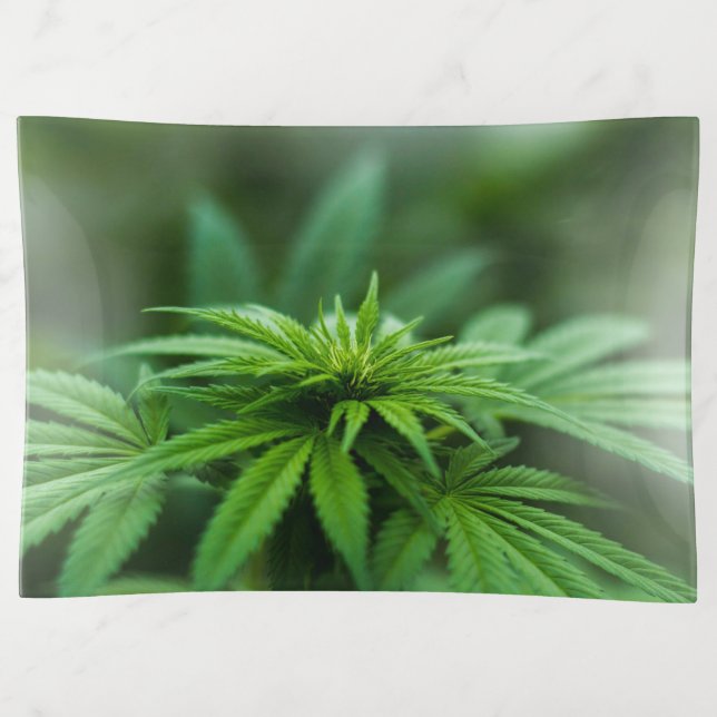Beautiful Weed Trinket Tray (Front)