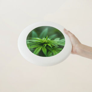 Beautiful Weed Wham-O Frisbee
