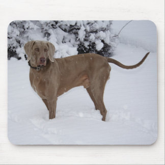 Beautiful Weimaraner in the snow Mouse Pad