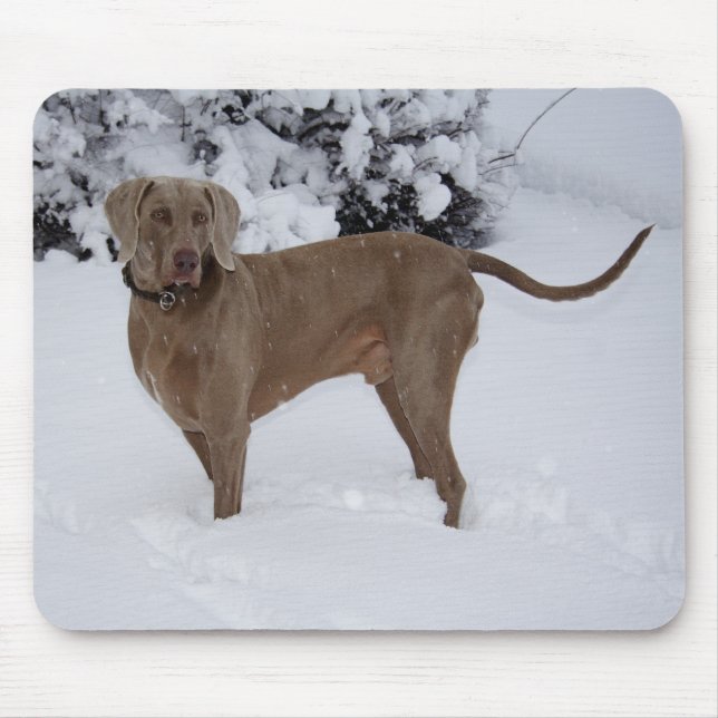 Beautiful Weimaraner in the snow Mouse Pad (Front)