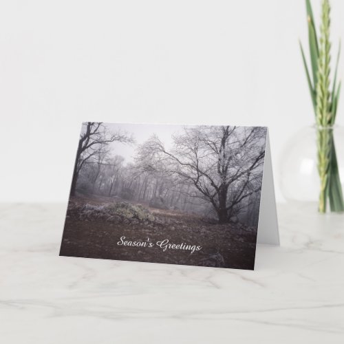 Beautiful West Virginia Winter Landscape Holiday Card