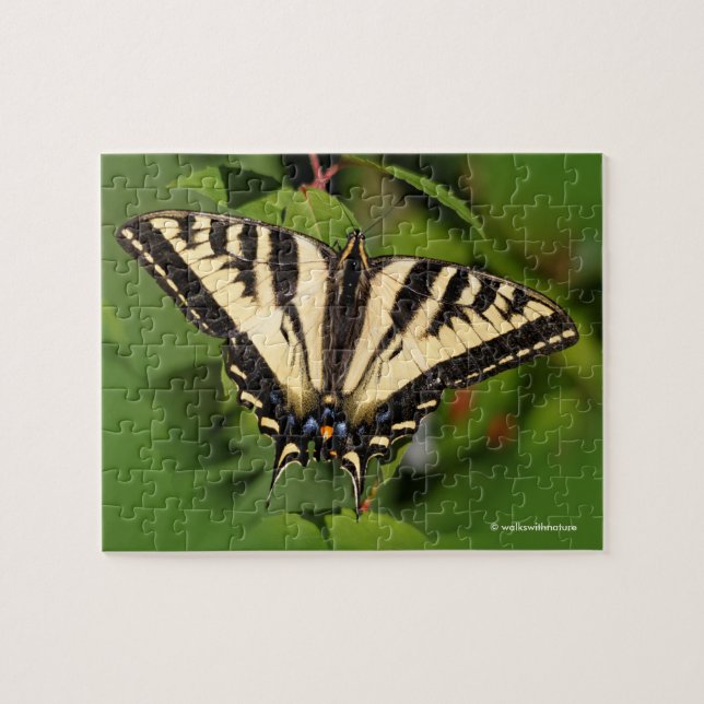 Beautiful Western Tiger Swallowtail Butterfly Jigsaw Puzzle (Horizontal)