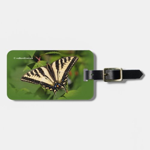 Beautiful Western Tiger Swallowtail Butterfly Luggage Tag