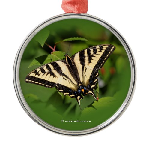 Beautiful Western Tiger Swallowtail Butterfly Metal Ornament