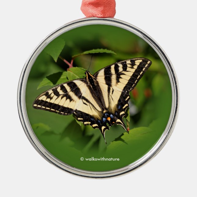 Beautiful Western Tiger Swallowtail Butterfly Metal Ornament (Front)
