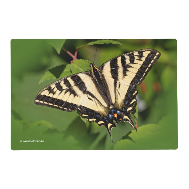 Beautiful Western Tiger Swallowtail Butterfly Placemat (Back)
