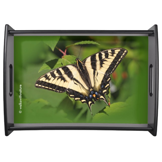 Beautiful Western Tiger Swallowtail Butterfly Serving Tray (Front)