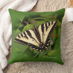 Beautiful Western Tiger Swallowtail Butterfly Throw Pillow