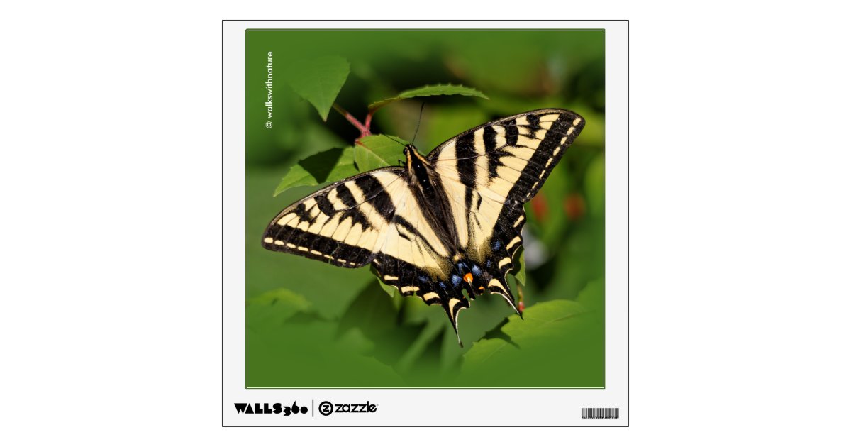 Giant Swallowtail Butterfly Decals