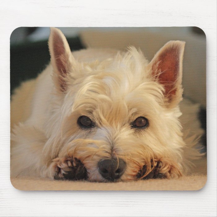 Beautiful Westie Dog Mouse Pad / Mouse Mat