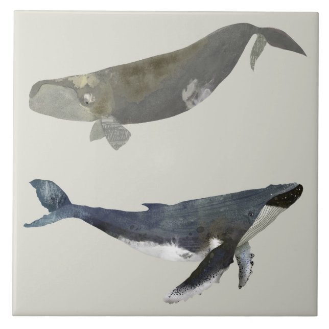 Beautiful Whales Ceramic Kitchen Tile (Front)