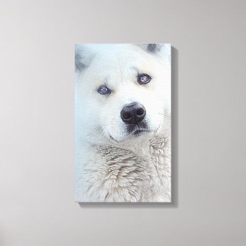 Beautiful White Akita Snow Dog Wolf Canvas