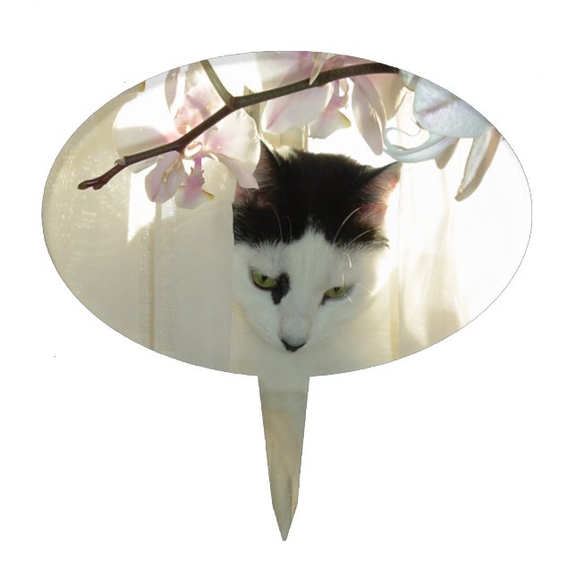 Beautiful White and Black Cat Cake Topper (Front)
