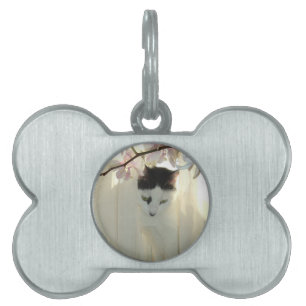 Beautiful White and Black Cat Pet Name Tag