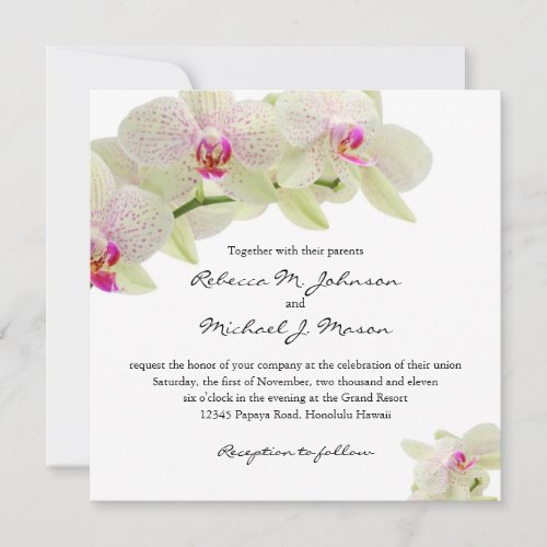 Beautiful White and Hot Pink Orchids Invite