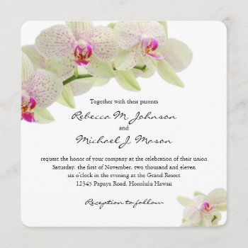 Beautiful White And Hot Pink Orchids Invitation by weddingsNthings at Zazzle