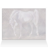 Beautiful White Arabian Horse (Inside Horizontal (Top))