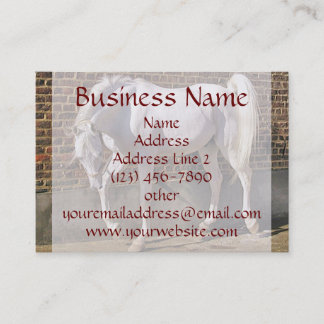 Beautiful White Arabian Horse Business Cards
