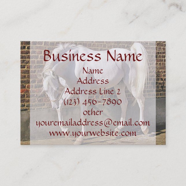 Beautiful White Arabian Horse Business Cards (Front)