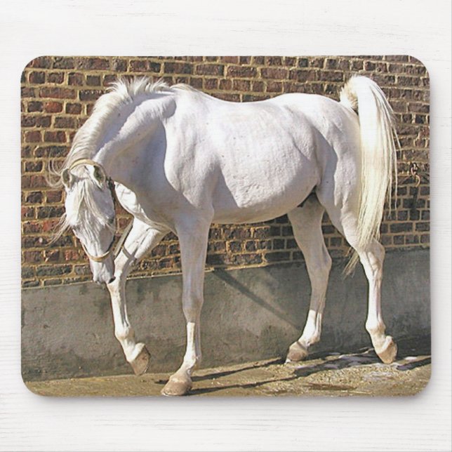 Beautiful White Arabian Horse Mouse Pad (Front)