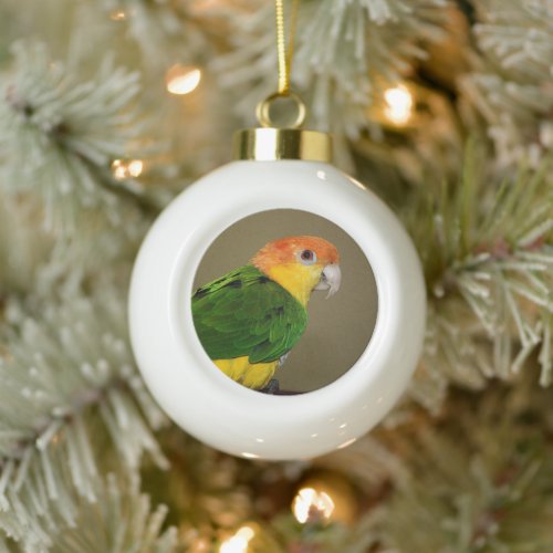 Beautiful White Bellied Caique Parrot Posing Ceramic Ball Christmas Ornament