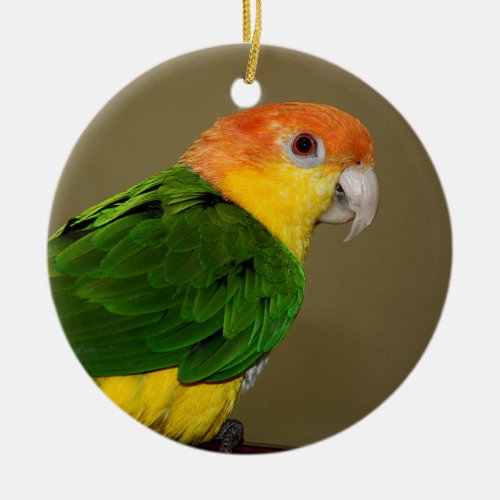 Beautiful White Bellied Caique Parrot Posing Ceramic Ornament