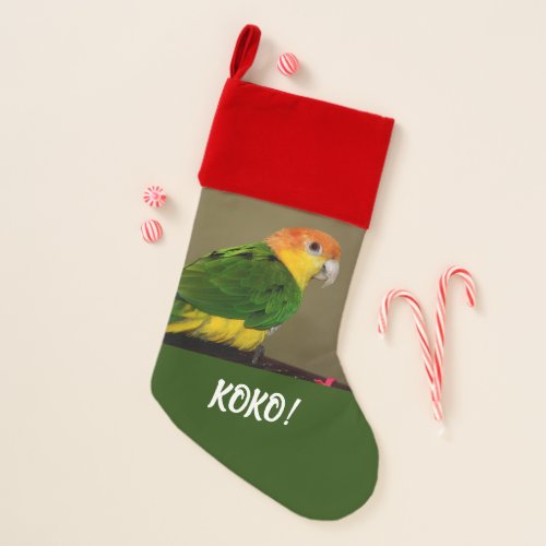 Beautiful White Bellied Caique Parrot Posing Christmas Stocking