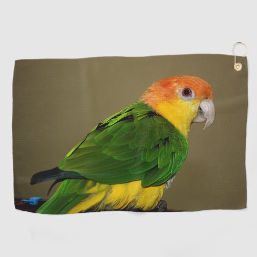 Beautiful White Bellied Caique Parrot Posing Golf Towel