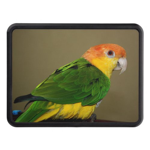 Beautiful White Bellied Caique Parrot Posing Hitch Cover