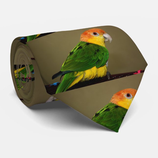 Beautiful White Bellied Caique Parrot Posing Neck Tie (Rolled)