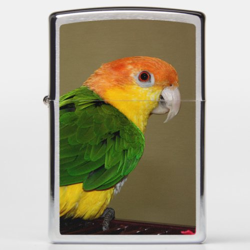 Beautiful White Bellied Caique Parrot Posing Zippo Lighter