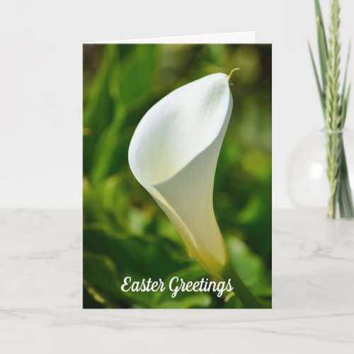 Beautiful White Calla Lily Flower Easter Card