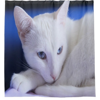 Beautiful White Cat/Add Your Pet's Photo Shower Curtain