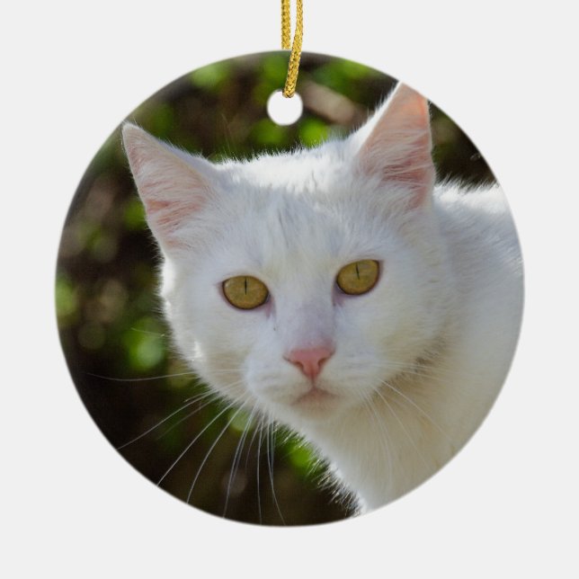 Beautiful White Cat Ceramic Ornament (Front)