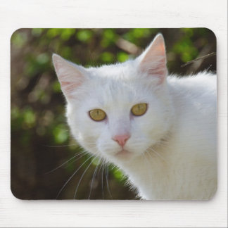 Beautiful White Cat Mouse Pad