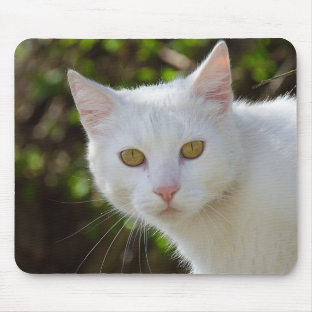 Beautiful White Cat Mouse Pad (Front)