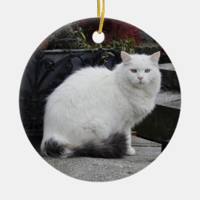 Beautiful White Cat On A Grave Ceramic Ornament (Front)