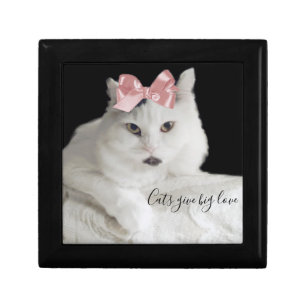 Beautiful White Cat Photo Gift Box