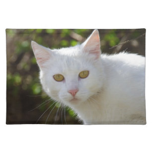Beautiful White Cat Placemat