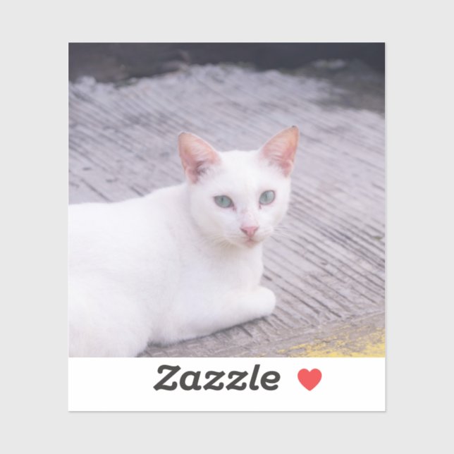 Beautiful White Cat Sticker (Sheet)