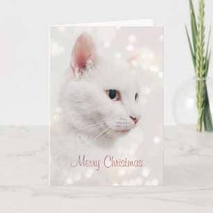 Beautiful White Cat with Christmas Lights Holiday Card