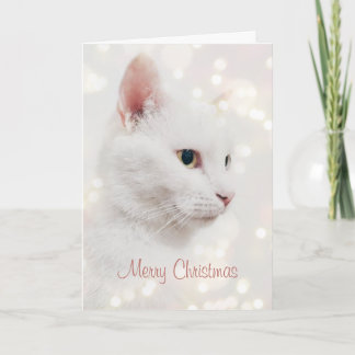 Beautiful White Cat with Christmas Lights Holiday Card