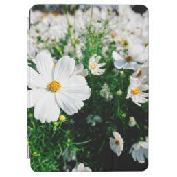 Beautiful white cosmos flowers blooming in gardena iPad air cover