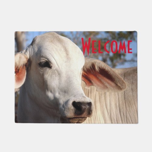 Beautiful White Cow Heifer Cattle Photograph Farm Doormat