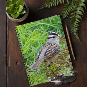 Beautiful White-Crowned Sparrow in the Grass Notebook