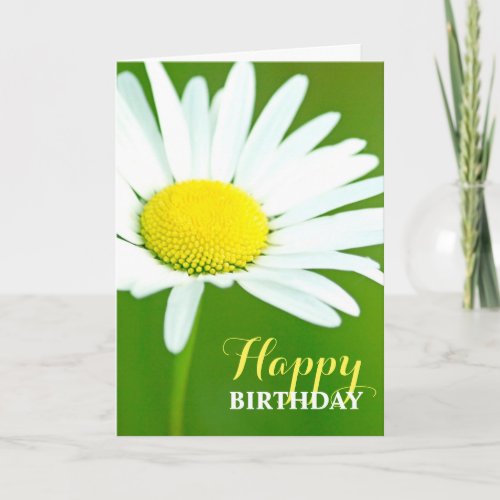 Beautiful White Daisy Birthday Card