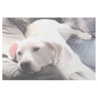 Beautiful White Dog Photo with Best Friend Dad Gallery Wrap