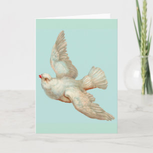 beautiful white dove card