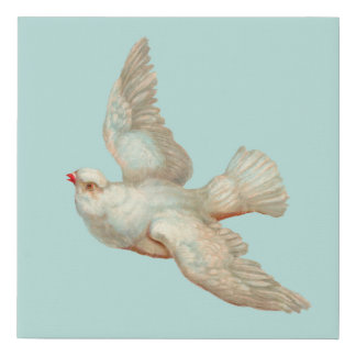 beautiful white dove faux canvas print