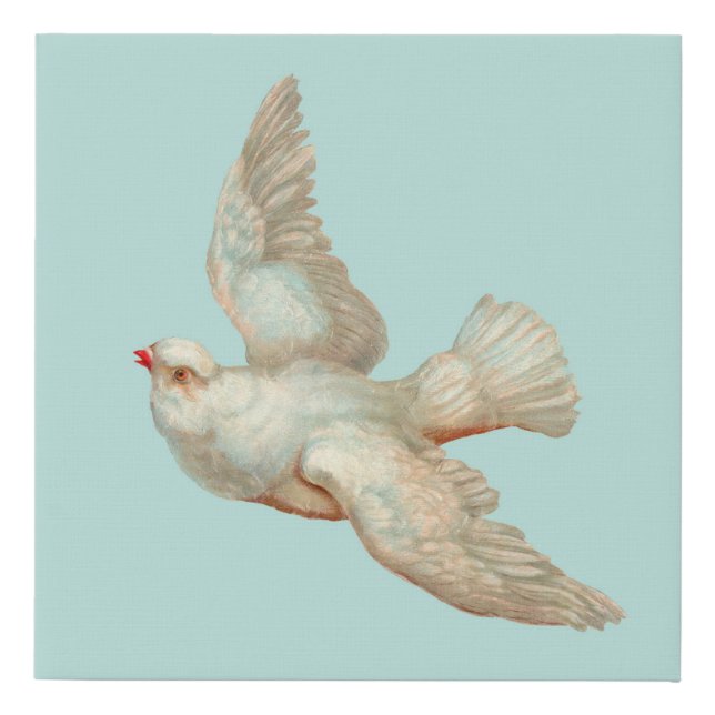 beautiful white dove faux canvas print (Front)